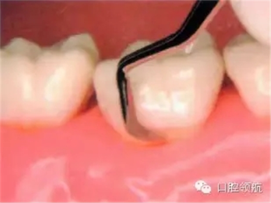 6.webp.jpg 6.webp.jpg