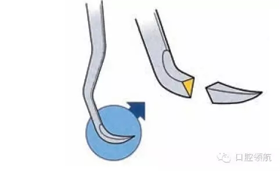 9.webp.jpg 9.webp.jpg