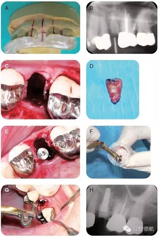 640.webp (3).jpg 640.webp (3).jpg