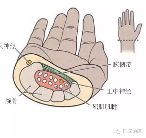 2.webp.jpg 2.webp.jpg