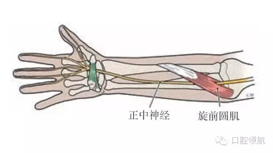 4.webp.jpg 4.webp.jpg