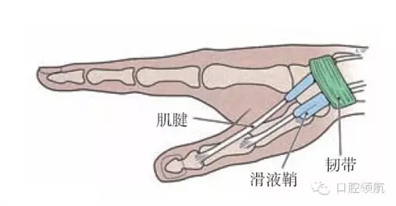 6.webp.jpg 6.webp.jpg