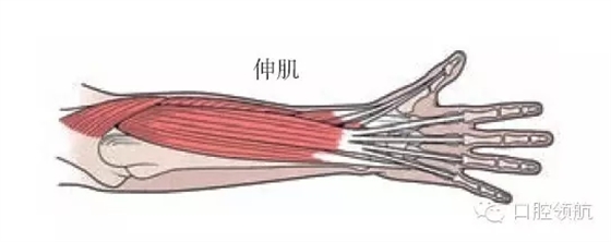 7.webp.jpg 7.webp.jpg