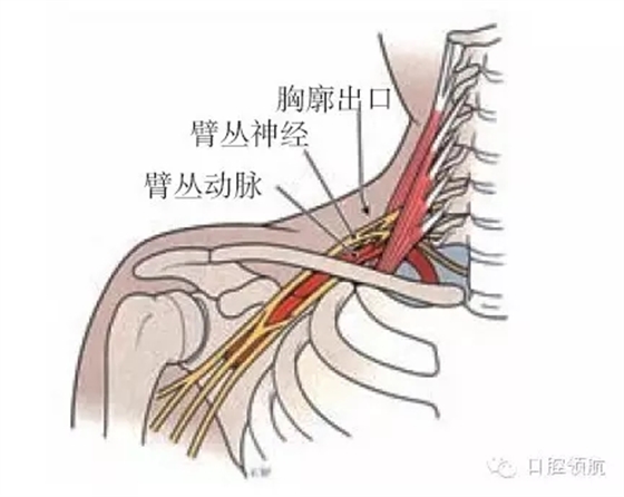 8.webp.jpg 8.webp.jpg