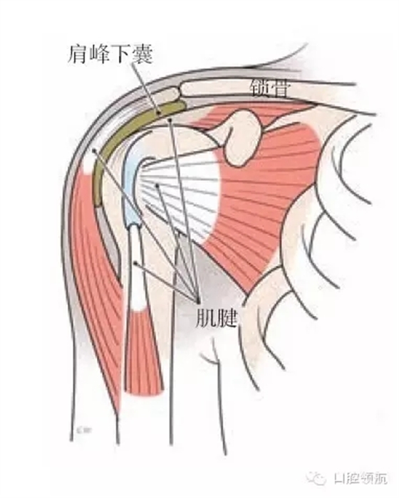 9.webp.jpg 9.webp.jpg