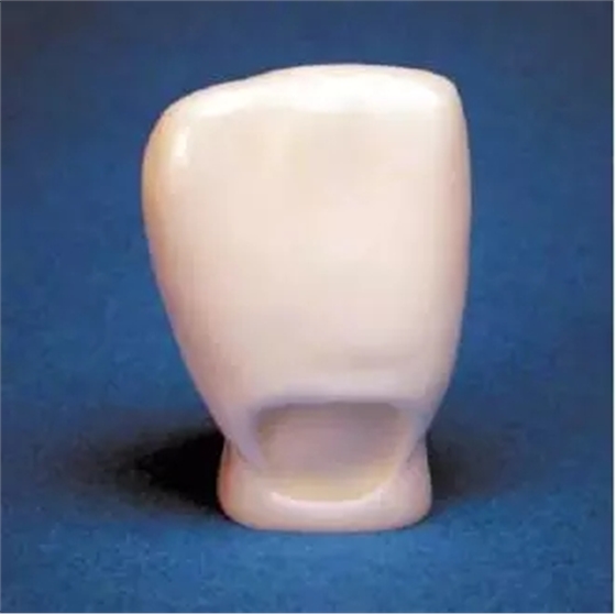 640.webp.jpg 640.webp.jpg