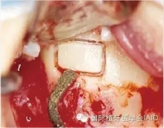 8.webp.jpg 8.webp.jpg