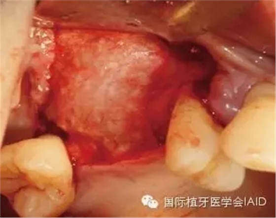 13.webp.jpg 13.webp.jpg