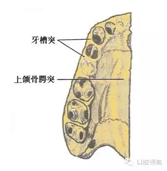 640.webp.jpg 640.webp.jpg