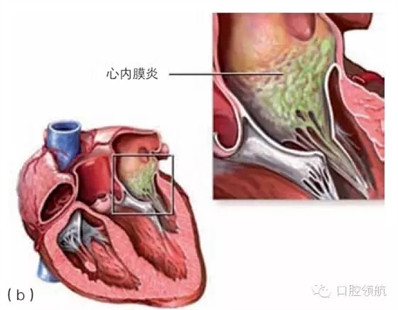 640.webp (10).jpg 640.webp (10).jpg