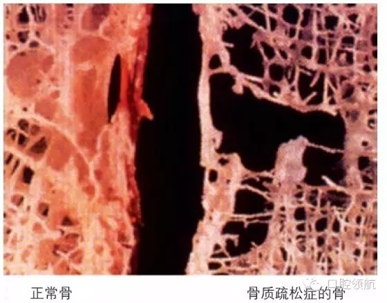 640.webp (11).jpg 640.webp (11).jpg