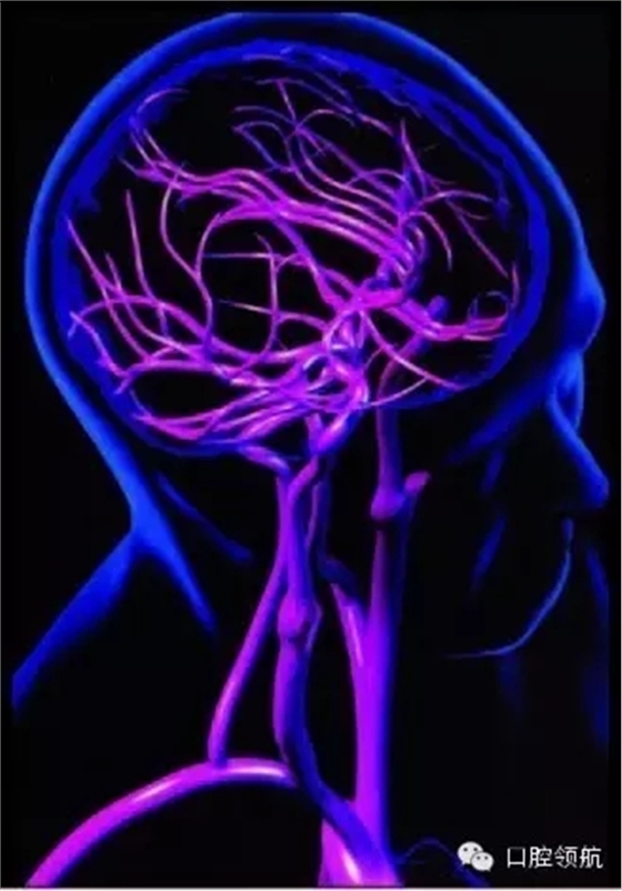 640.webp.jpg 640.webp.jpg