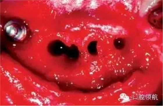 640.webp.jpg 640.webp.jpg