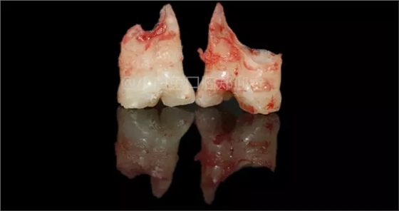 6.webp.jpg 6.webp.jpg