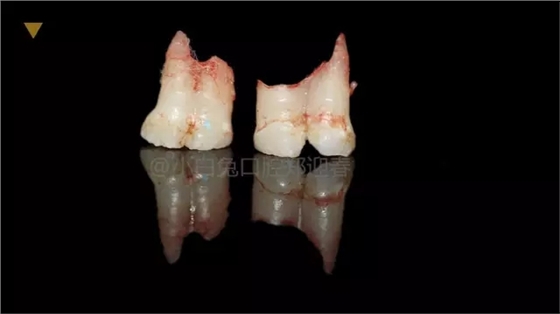 7.webp.jpg 7.webp.jpg