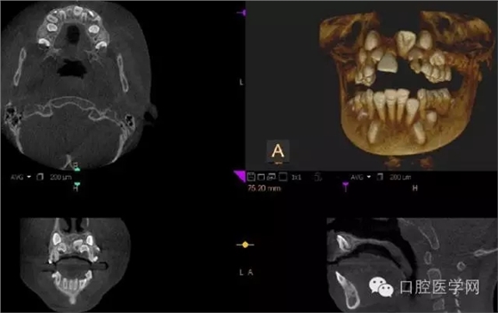 12.webp.jpg 12.webp.jpg