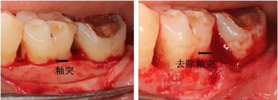 1.webp.jpg 1.webp.jpg