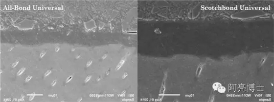 11.webp.jpg 11.webp.jpg