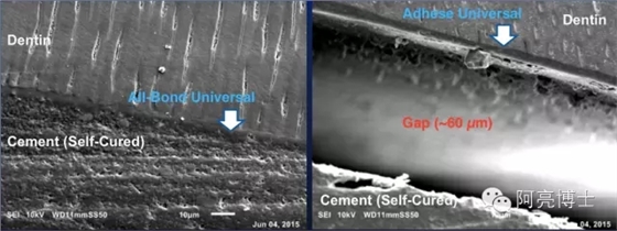 14.webp.jpg 14.webp.jpg