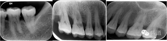 3.webp.jpg 3.webp.jpg