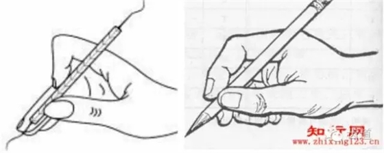 13.webp.jpg 13.webp.jpg