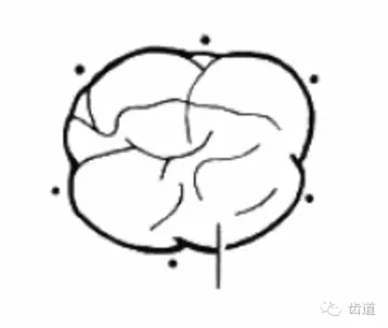 16.webp.jpg 16.webp.jpg