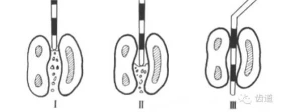 19.webp.jpg 19.webp.jpg