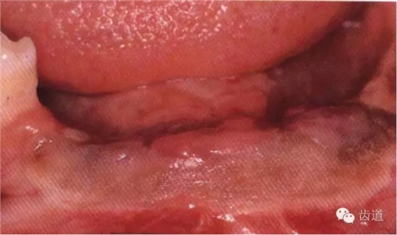 3.webp.jpg 3.webp.jpg