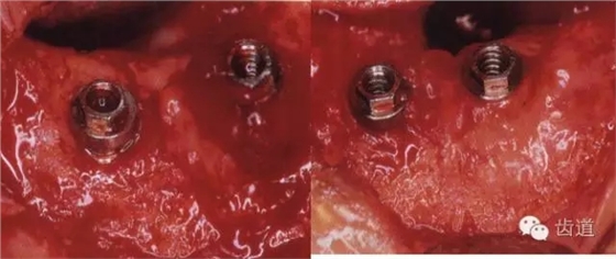 6.webp.jpg 6.webp.jpg