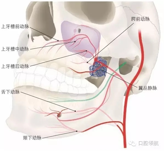 2.webp.jpg 2.webp.jpg