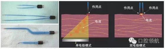 10.webp.jpg 10.webp.jpg