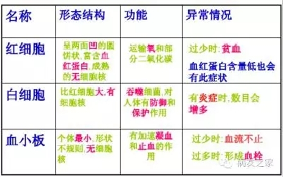 1.webp.jpg 1.webp.jpg