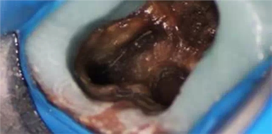 2.webp.jpg 2.webp.jpg