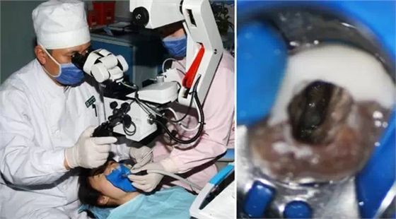 3.webp.jpg 3.webp.jpg