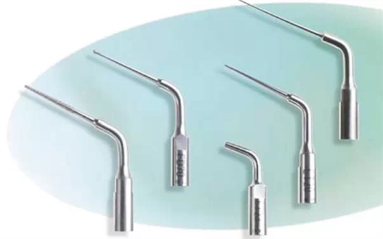 4.webp.jpg 4.webp.jpg