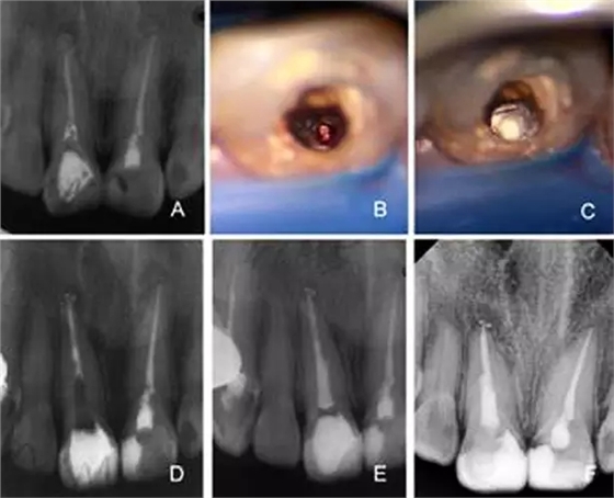 9.webp.jpg 9.webp.jpg