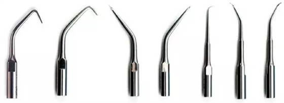 10.webp.jpg 10.webp.jpg