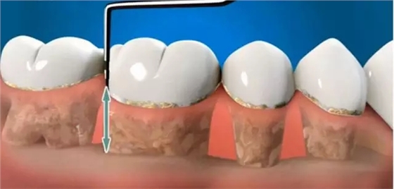 2.webp.jpg 2.webp.jpg