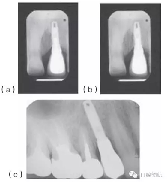 16.webp.jpg 16.webp.jpg