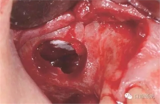 8.webp.jpg 8.webp.jpg