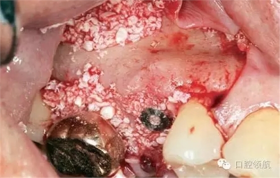 7.webp.jpg 7.webp.jpg