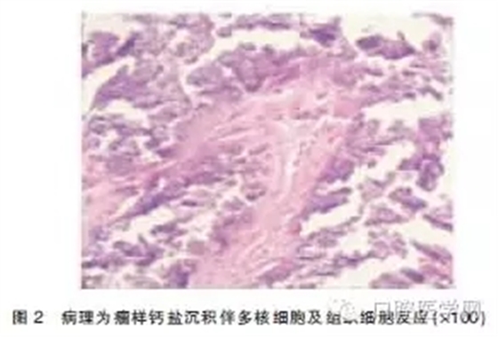 5.webp.jpg 5.webp.jpg