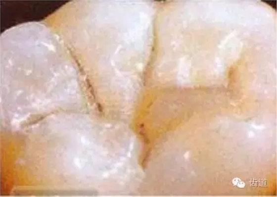 4.webp.jpg 4.webp.jpg