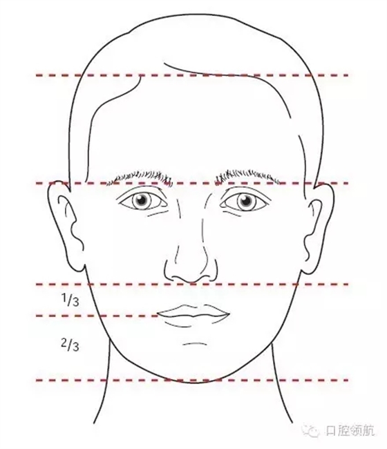 640.webp.jpg 640.webp.jpg