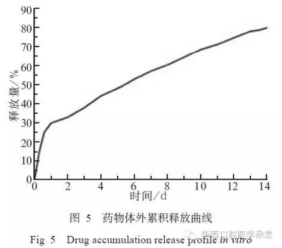 5.webp.jpg 5.webp.jpg
