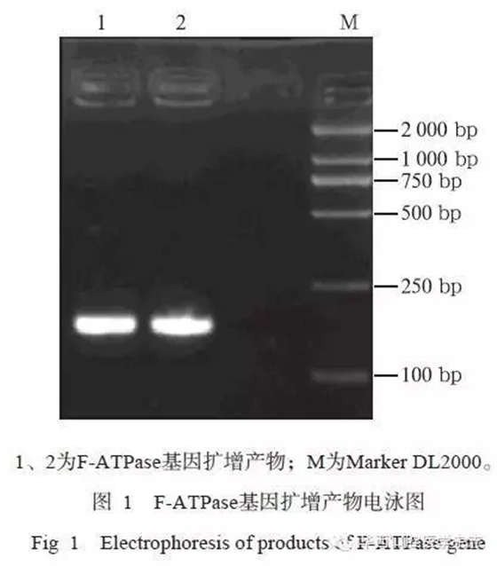 640.webp.jpg 640.webp.jpg