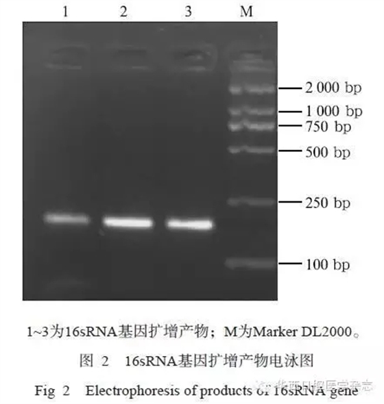 640.webp (1).jpg 640.webp (1).jpg