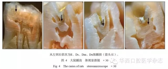 640.webp (3).jpg 640.webp (3).jpg