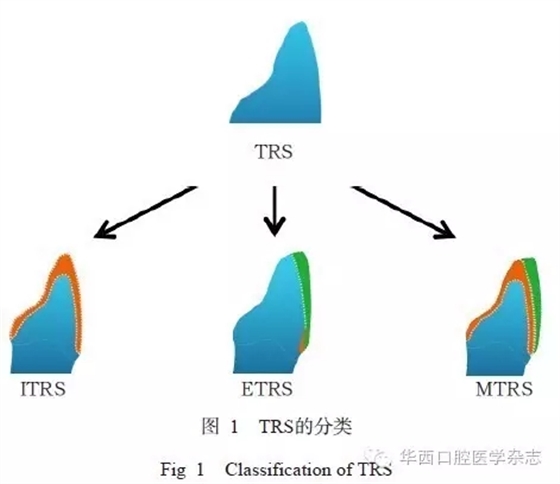 640.webp.jpg 640.webp.jpg