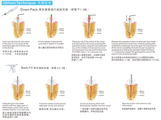 圖片3.png 圖片3.png